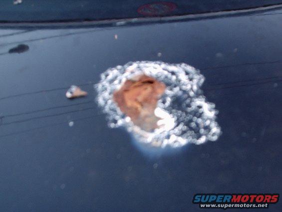 p8241125.jpg 