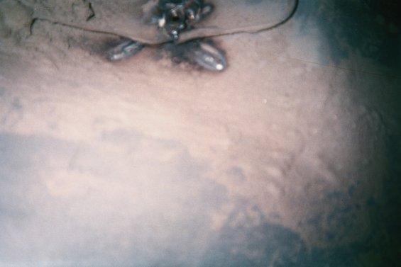 016_2.jpg 