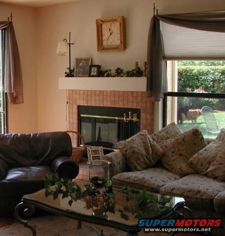 Living room with fireplace, couch, and coffee table. Two dogs are visible in the backyard through the window