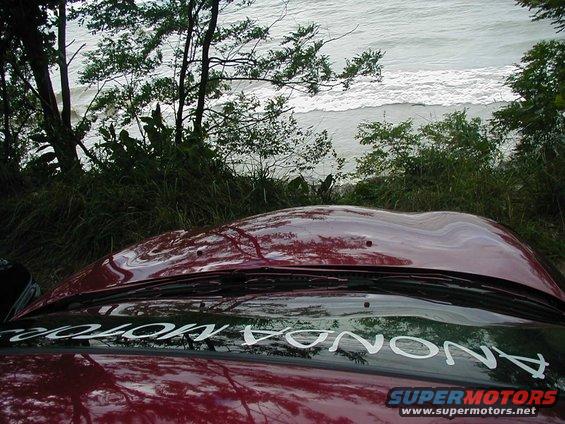 Red car hood and windshield with trees and ocean view. Text reads 'ANONDA MOTORS'