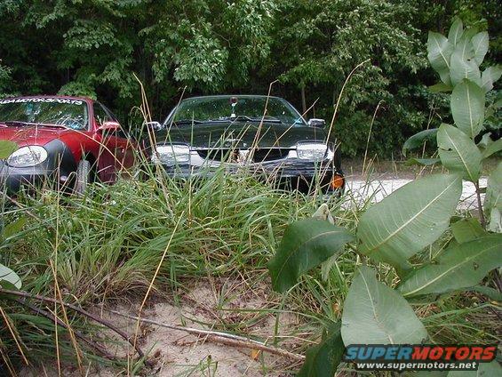 Red car and black car parked close together in overgrown grass