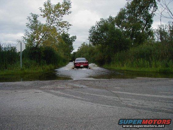 Red sedan driving through a flooded road with trees and reeds on the sides