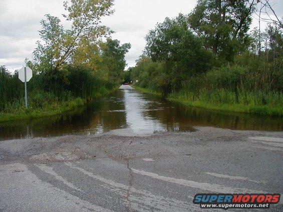 Flooded road with a stop sign and trees on the side; a distant vehicle is visible