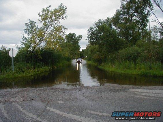 Dark sedan driving through flooded road with trees and a stop sign
