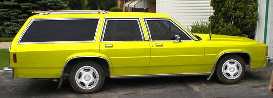 Shaggin' in yellow ...