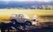 1980 Ford Bronco - Sh?!