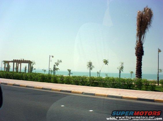picture-007p.jpg Gulf Road Snap