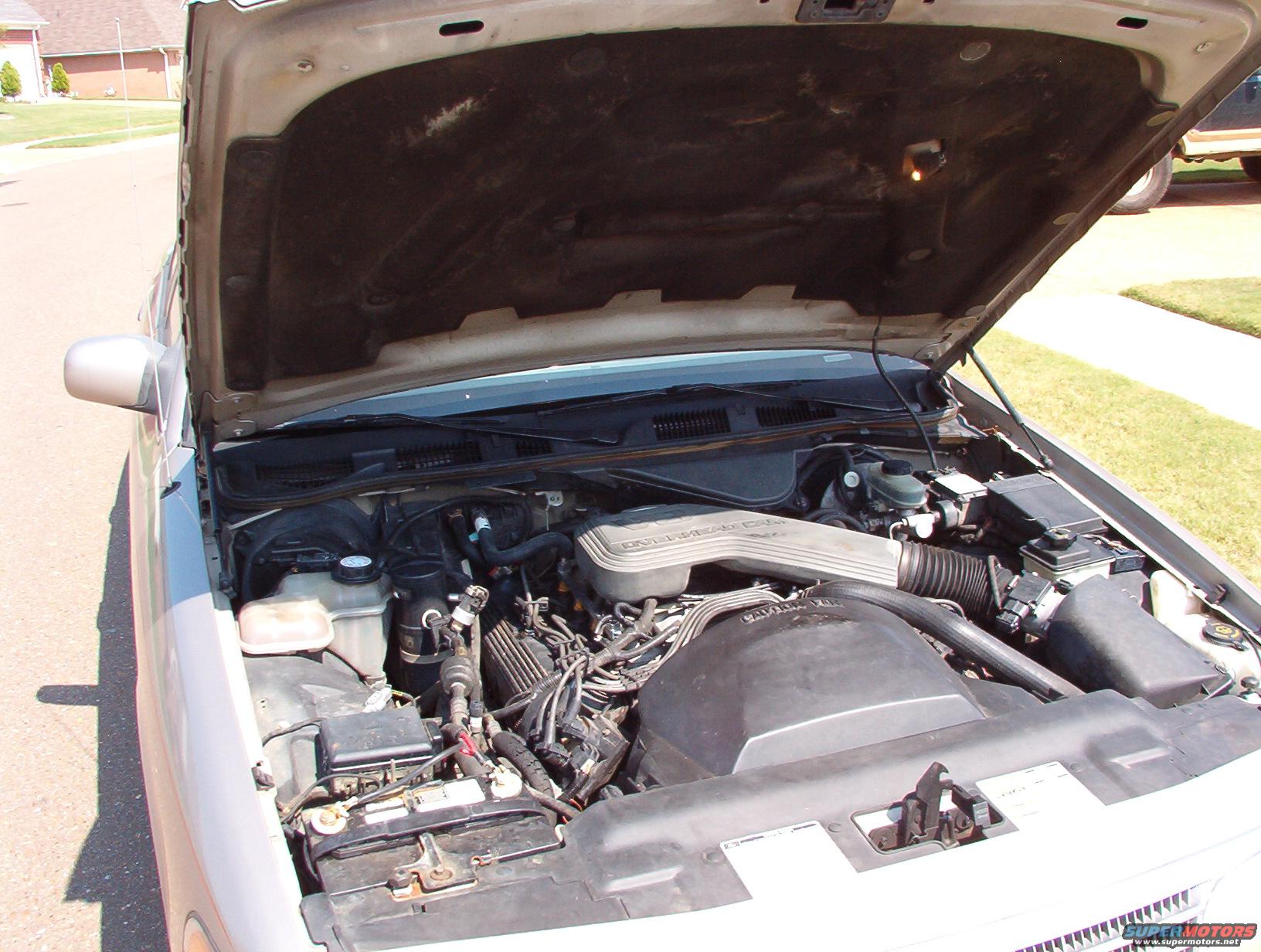 1994 Ford Crown Victoria “Vicky (totalled & shredded)”