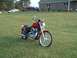 1995 Mercury Grand Marquis - A red motorcycle sits on a green lawn with a house in the background.