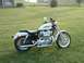 1995 Mercury Grand Marquis - A white Harley-Davidson Sportster motorcycle is parked on a grassy lawn with a house in the background.