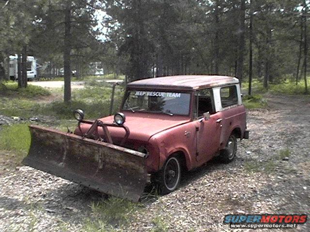 International Scout