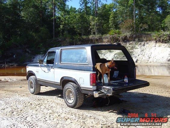 Ford Bronco II parked on sandy ground near water, dog in the open tailgate