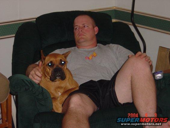 what a damn ham