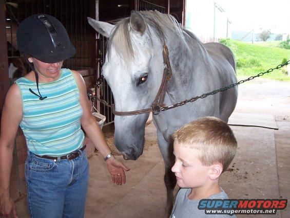 Woman in helmet and striped shirt, boy, and a white horse stand in a stable. Supermotors.net logo visible