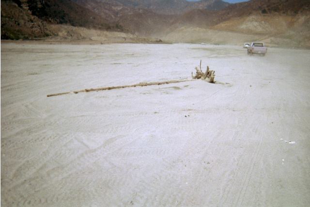 img18.jpg Waiting for the next sucker!