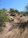 1979 Ford Bronco - 1979 Ford Bronco navigating a challenging off-road trail on a sunny day.