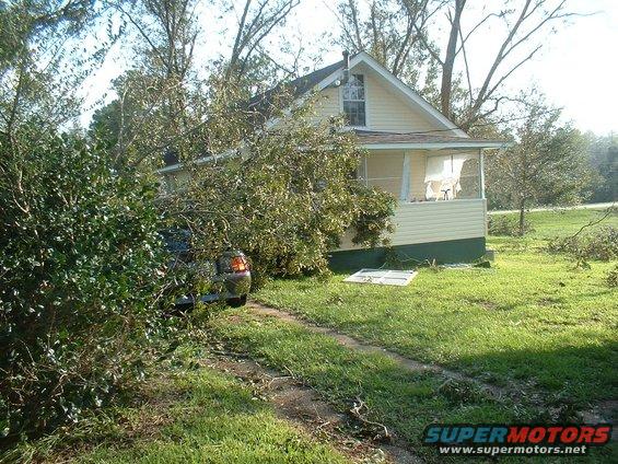 Car's rear end is visible, partially obscured by branches from a fallen tree. House in background