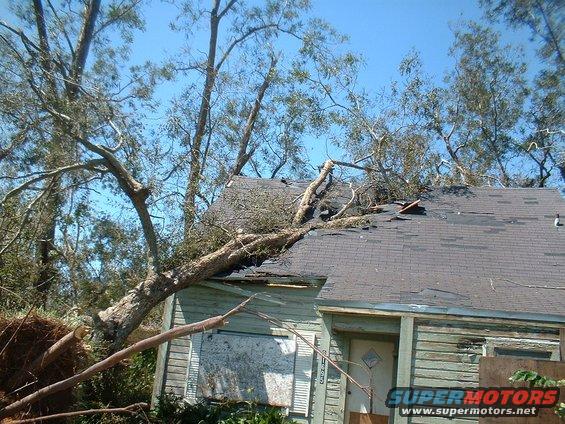 Fallen tree on damaged house roof, blue sky