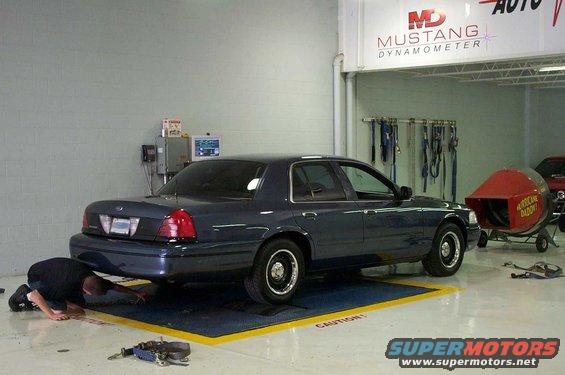 dyno2.jpg 