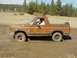1981 Ford Bronco - I got a little stuck in a puddle