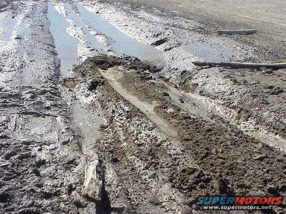 Here are a couple pics of how I dug into the mud to get stuck