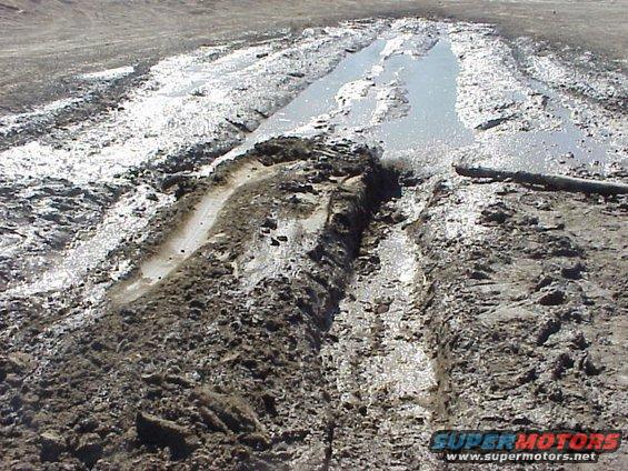 Muddy track with tire ruts and water puddles, a log lies to the right