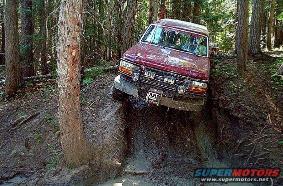 Red SUV with winch on front bumper stuck in mud, angled on a steep, wooded trail