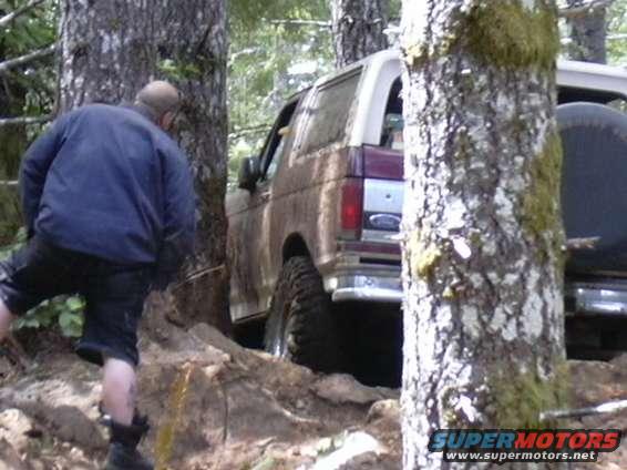 1993 Ford Bronco navigating a tight, wooded trail