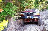 Red Ford Bronco on a rocky, wooded trail