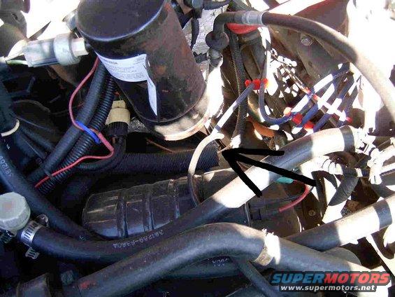 emptyhose.jpg what is this hose?