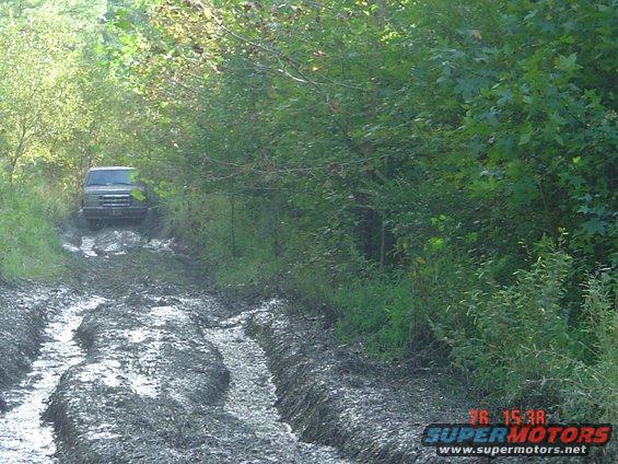 muddin-002.jpg 