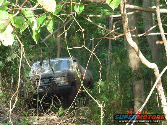 muddin-004.jpg 