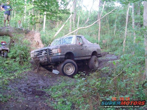 muddin-005.jpg 