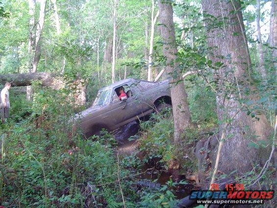 muddin-007.jpg 