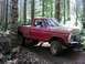 1993 Ford Bronco - A red pickup truck with a brown hood navigates a wooded trail.