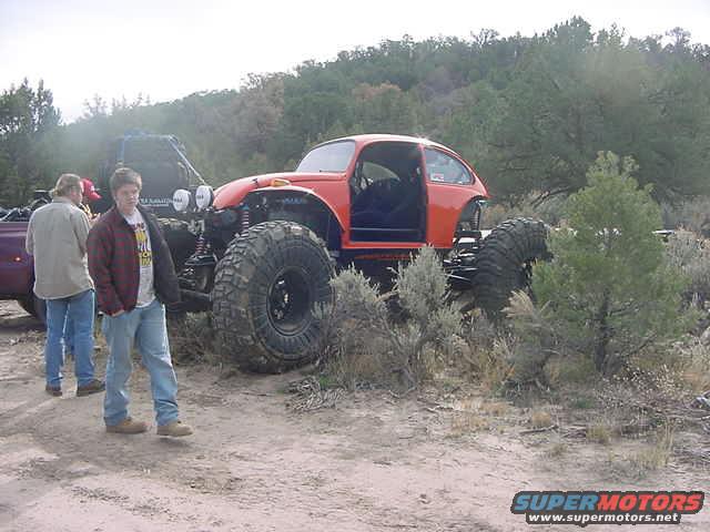 Big Bug-2