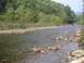 1994 Ford Bronco - A clear river flows over rocks with lush green trees lining the banks under a bright sky.