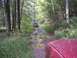 1994 Ford Bronco - Two SUVs navigate a muddy path through a dense forest.