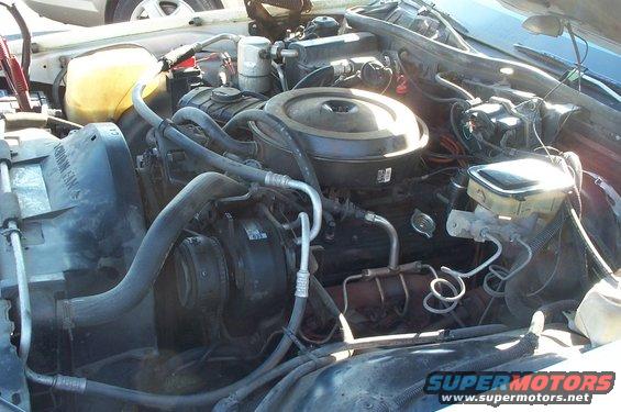 Engine bay with hoses, fan, and brake fluid reservoir visible