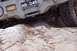1982 Ford Bronco - This off-road vehicle navigates challenging rocky terrain, its front bumper and tire visible, with a NSW license plate reading RB 045.