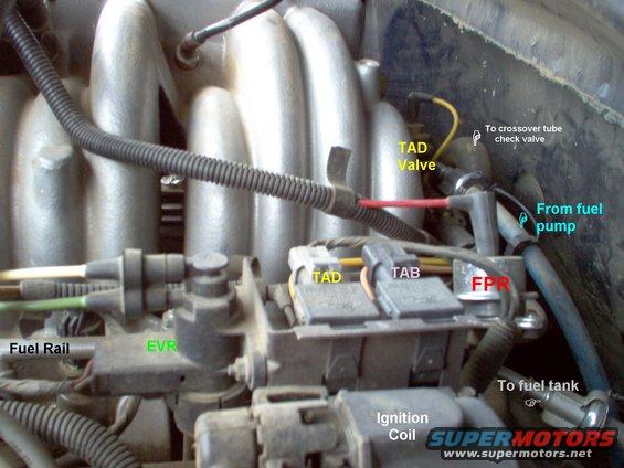 5.8l-tad.jpg Thermactor Air Diverter valve & other components.  The IAT/ACT is barely visible behind the fuel rail in the lower L.

See also:
[url=https://www.supermotors.net/vehicles/registry/media/894687][img]https://www.supermotors.net/getfile/894687/thumbnail/vaclinesefi.jpg[/img][/url] . [url=https://www.supermotors.net/vehicles/registry/media/589993][img]https://www.supermotors.net/getfile/589993/thumbnail/secondaryair.jpg[/img][/url]