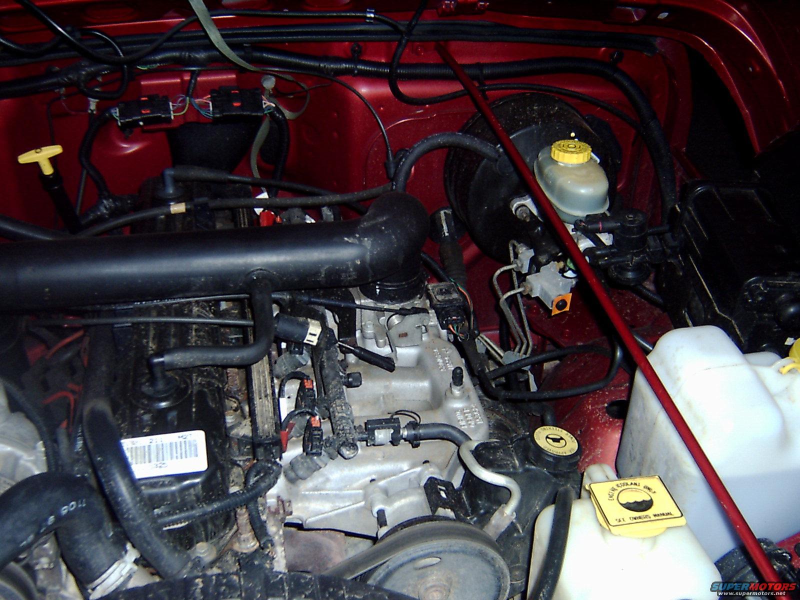 1998 Jeep TJ “Ruby”