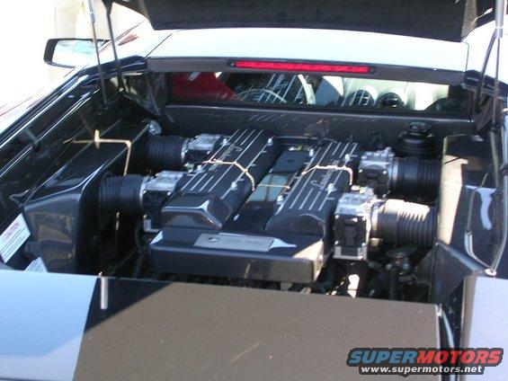 Engine bay with twin V-engines, black intake manifolds, and "Lamborghini" script visible