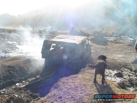 Mud-covered SUV with a soft top stuck in a muddy ditch, a dog watches from the bank