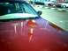 2000 Ford Crown Victoria - The reflection on the car hood shows a tower and other cars parked in a lot.