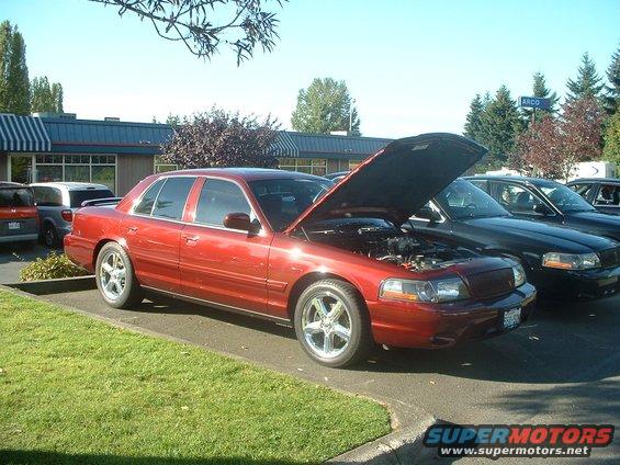 issmeet6.jpg Dark Toreador Red Marauder.