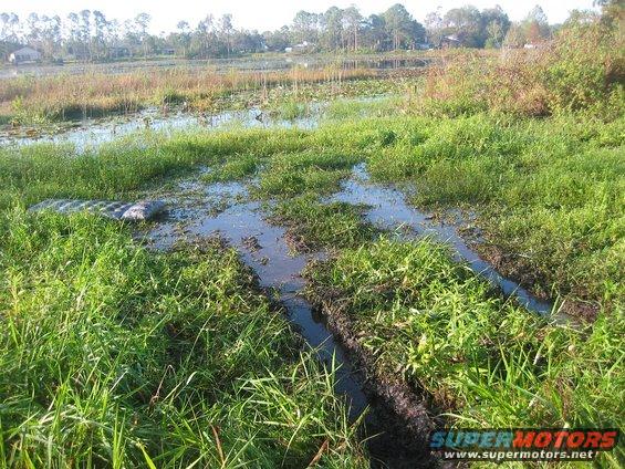 img_0126.jpg This was covered in grass before I drove into it...we were there until 10:30am.
