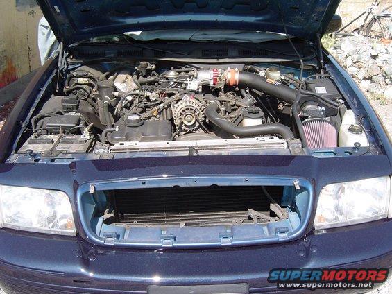 Engine bay of dark blue sedan with hood up, red cone air filter and V8 engine