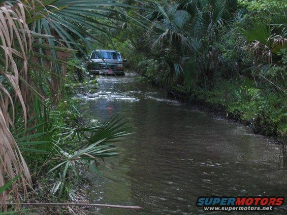 Dark SUV driving through a shallow, muddy stream surrounded by dense foliage