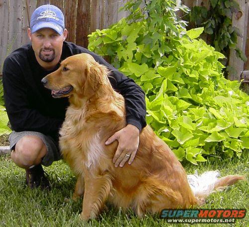 guy in blue cap with his golden retriever dog in a yard